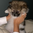 User avatar image