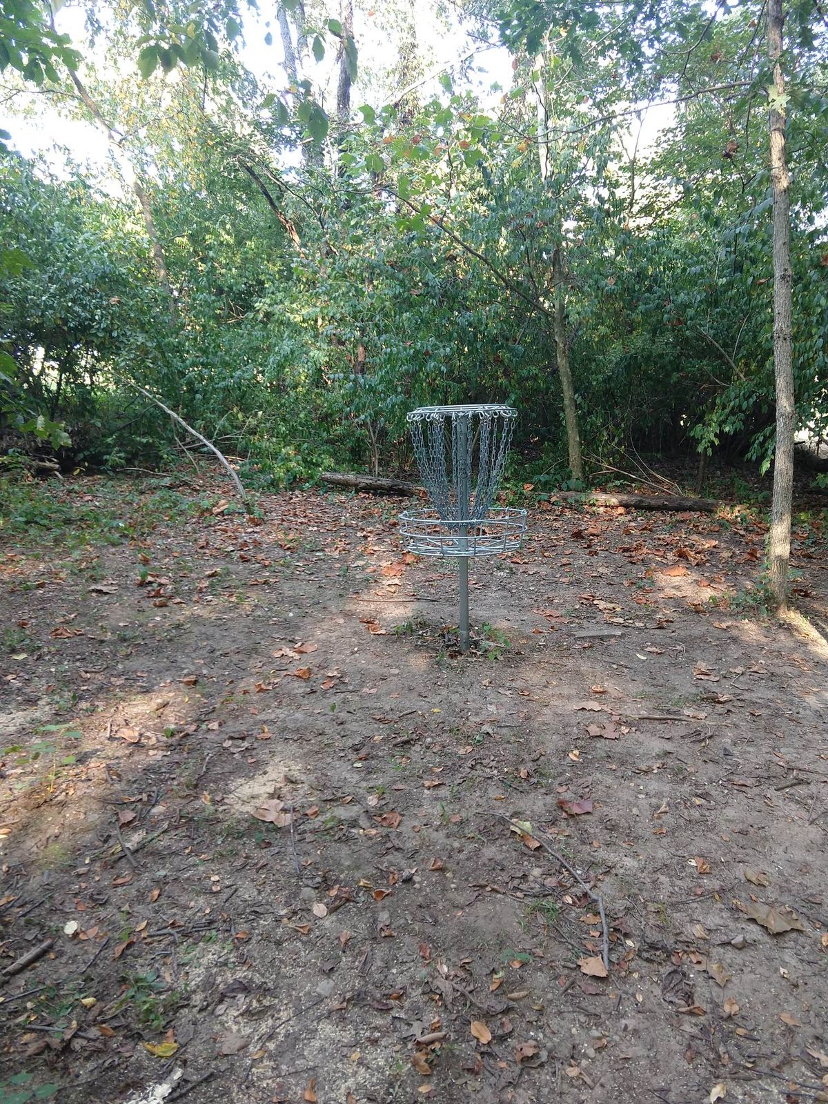 Hole 11