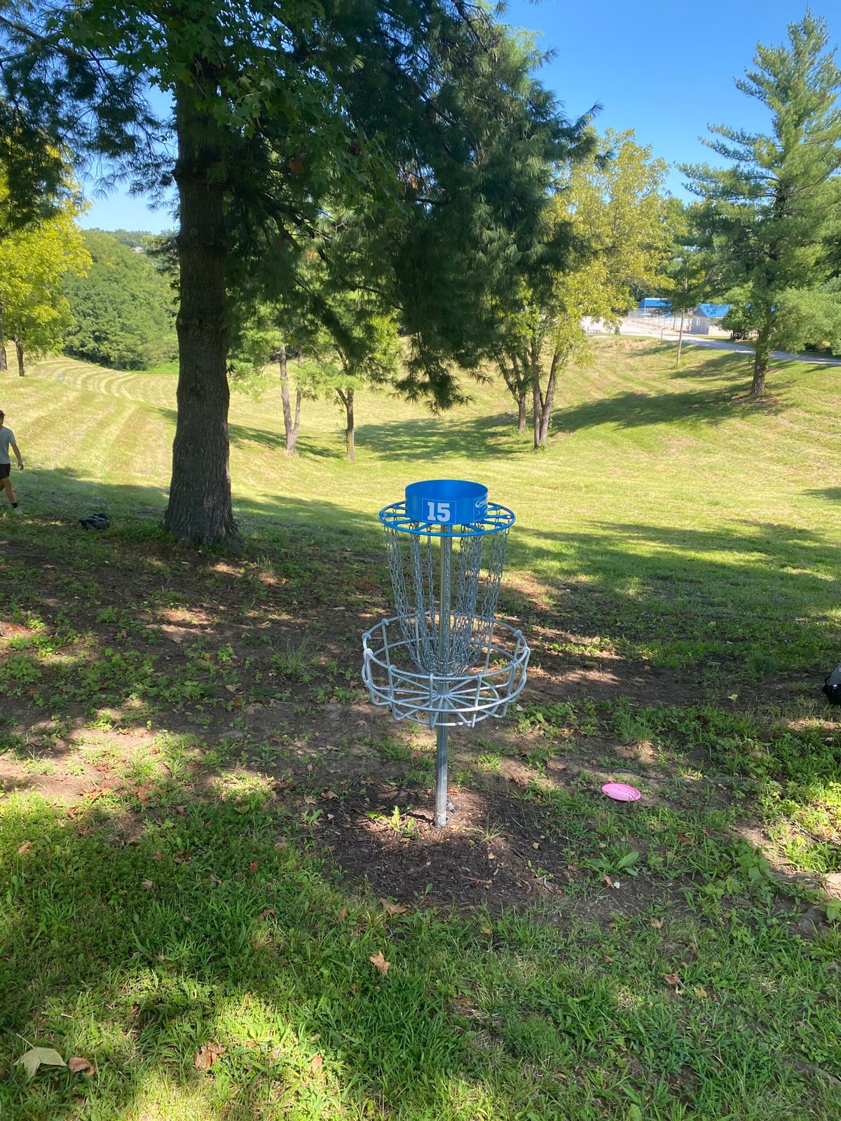 15 basket in B position towards tee.