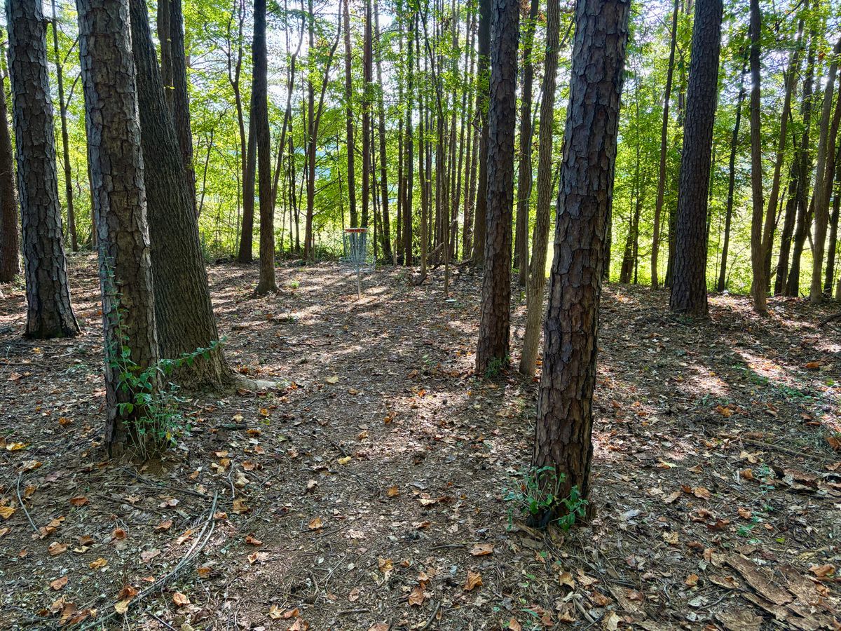Hole 10 approach