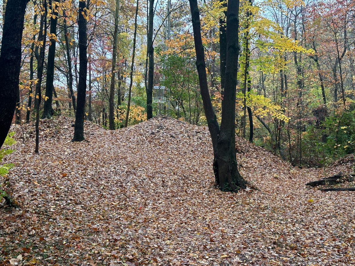 Hole 2 basket in the fall.