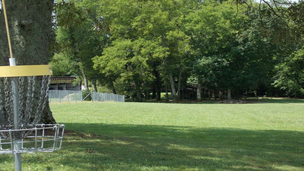 Hole 4 basket