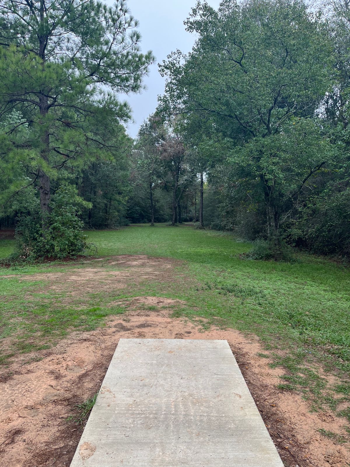 Hole 10 11/11/23
