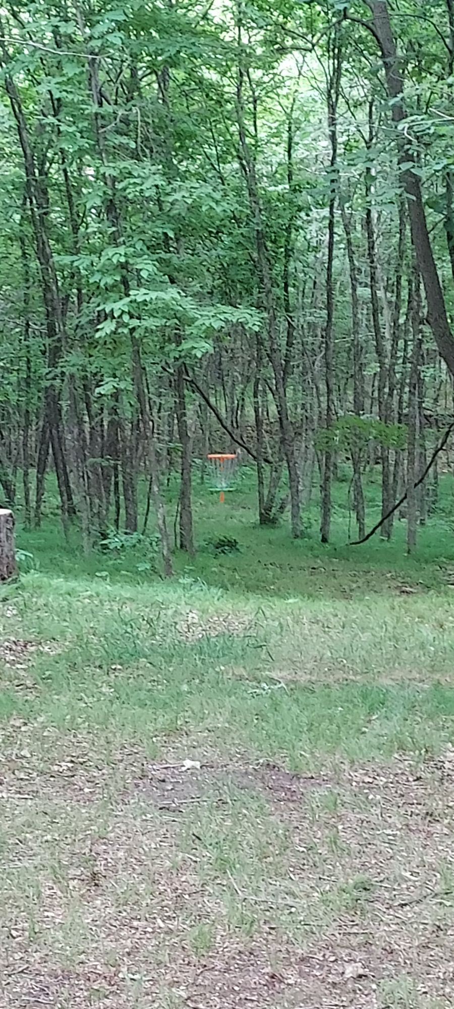 Hole 10