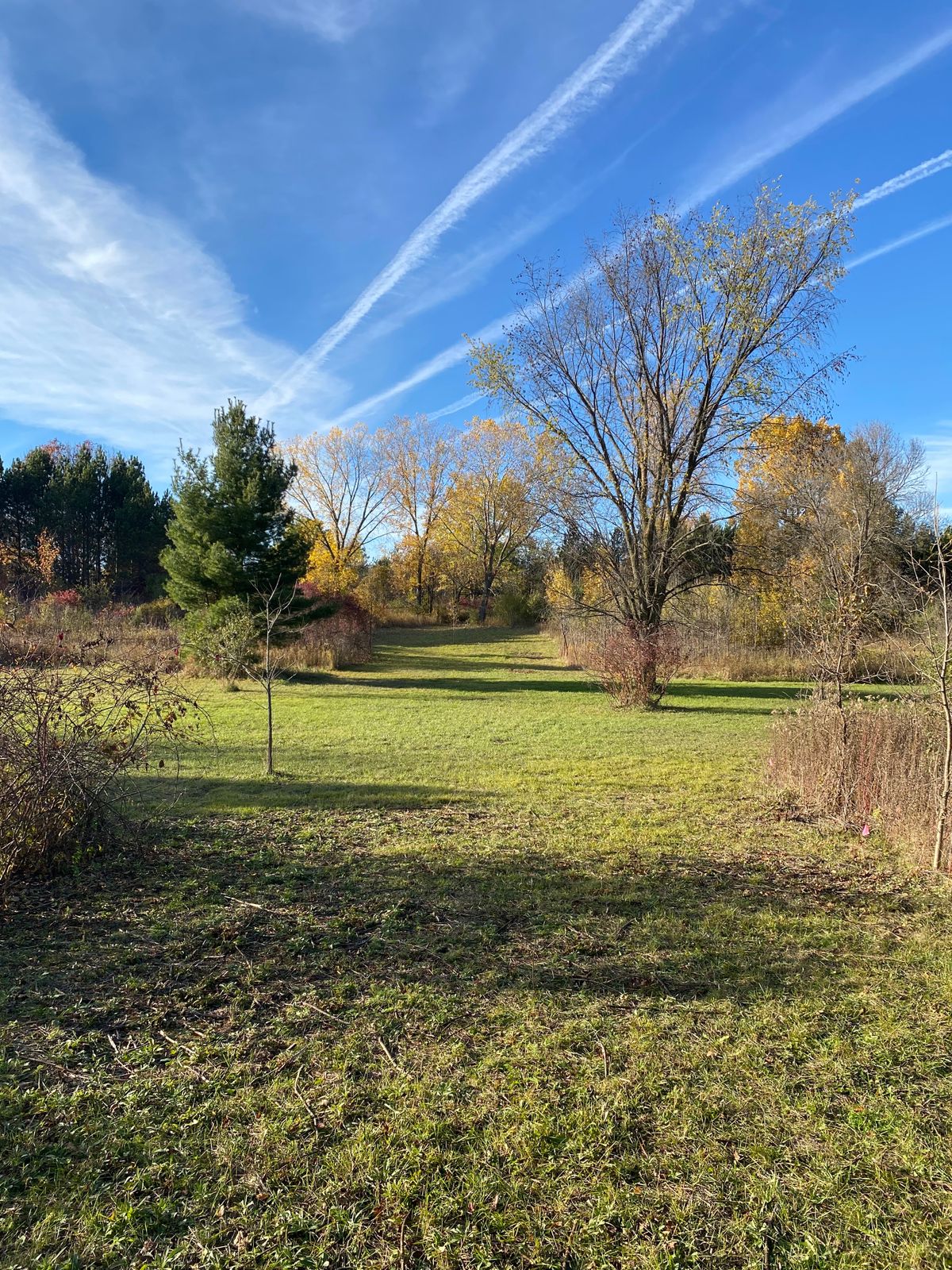 Hole 5 tee