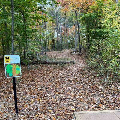Hole 13