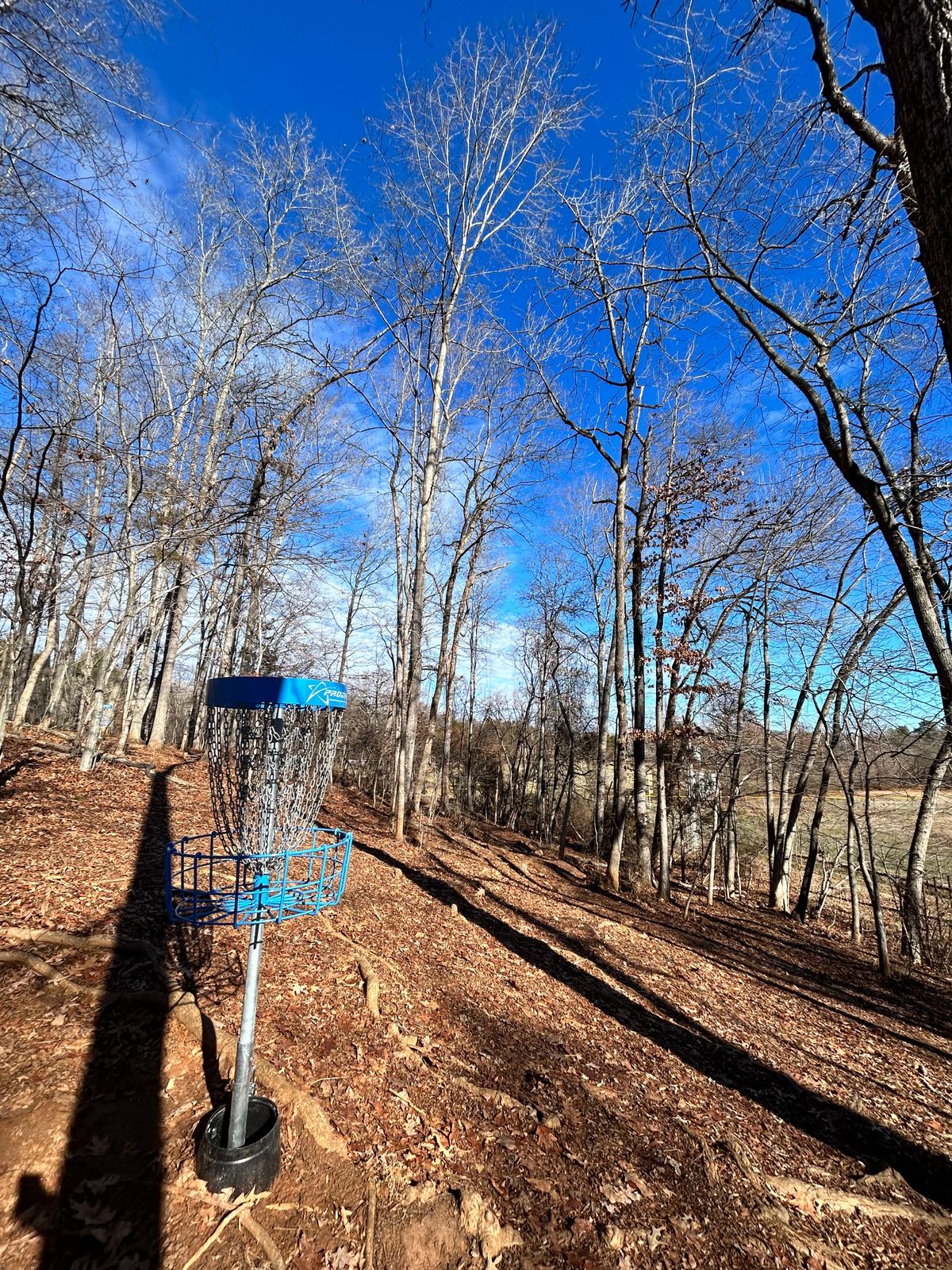 New baskets ‘23 hole 7