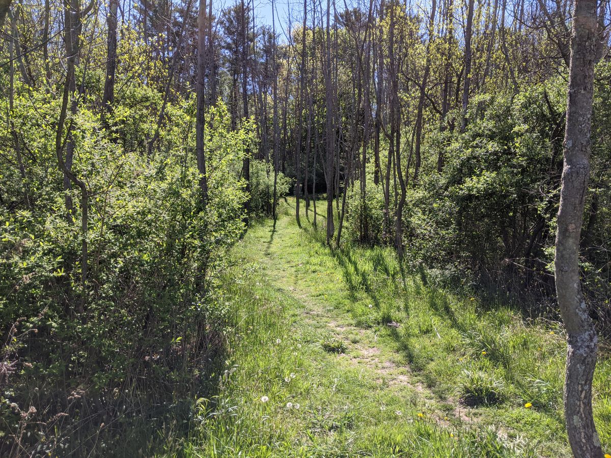 Hole 6 with a crowded fairway