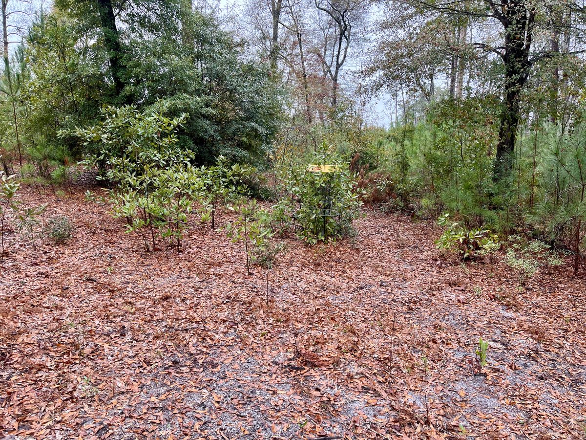 Hole 8 approach