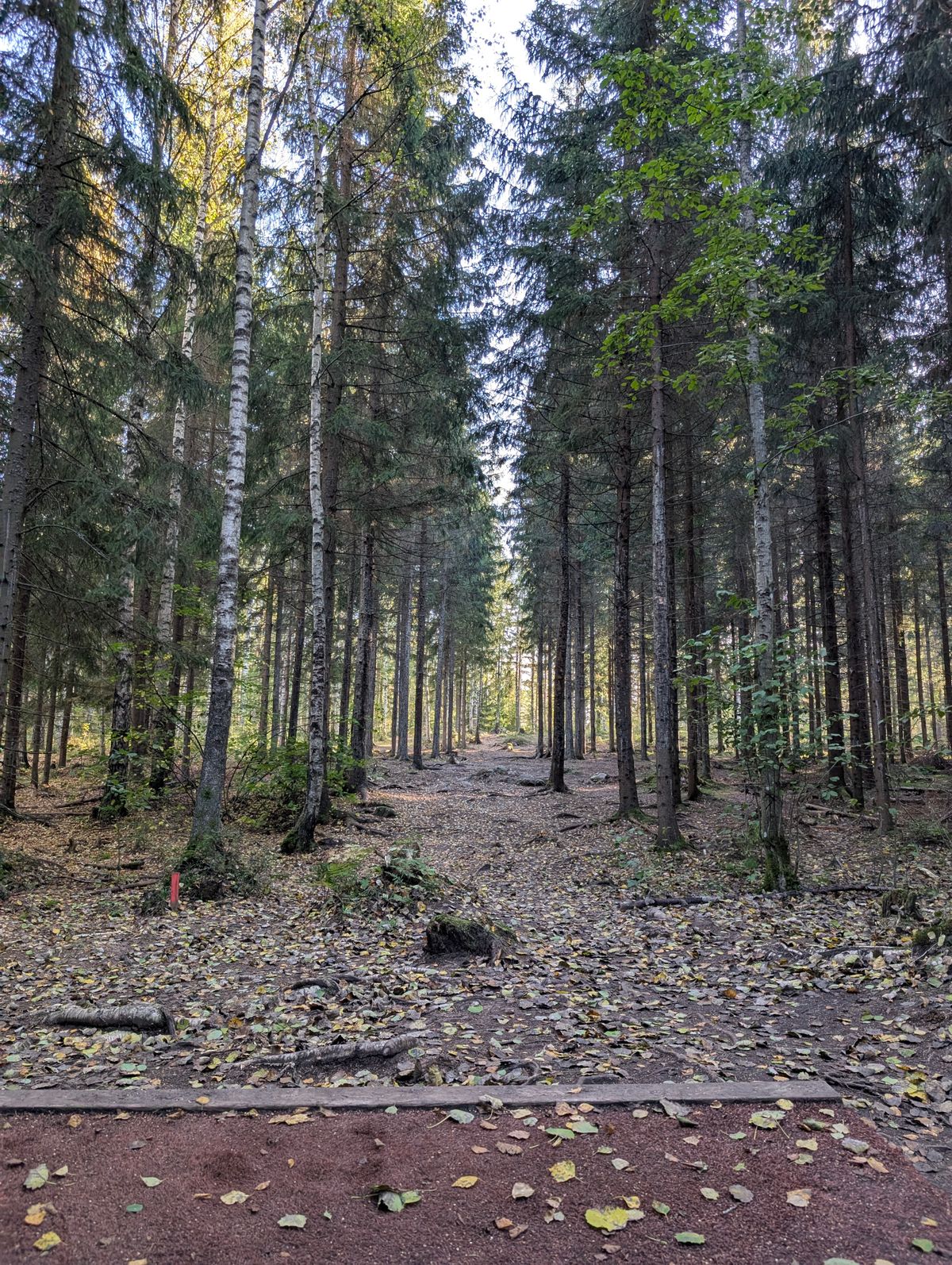 Väylä 5 77m ylämäkeen