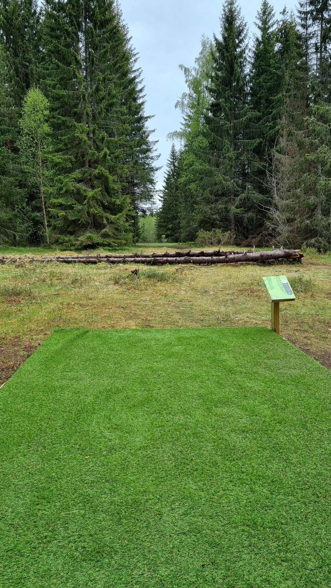 Tillerskogen Discgolfpark