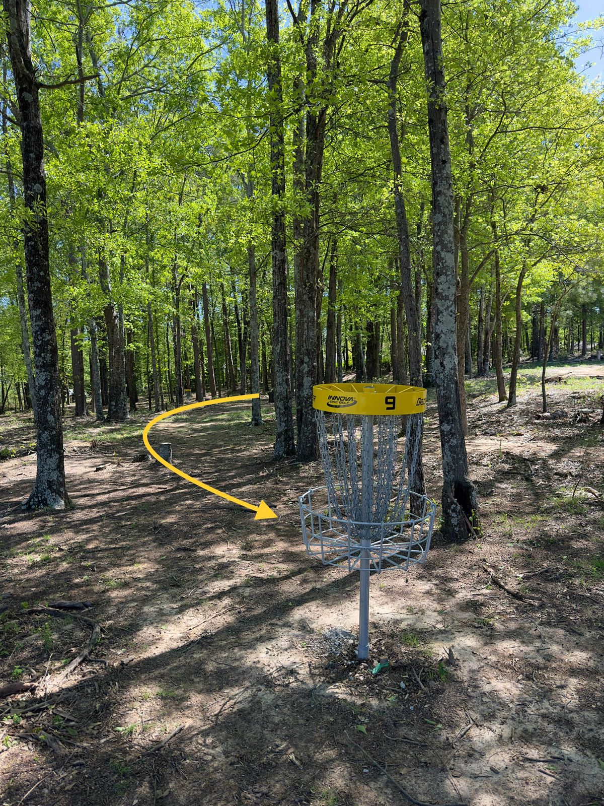 Hole 9 basket