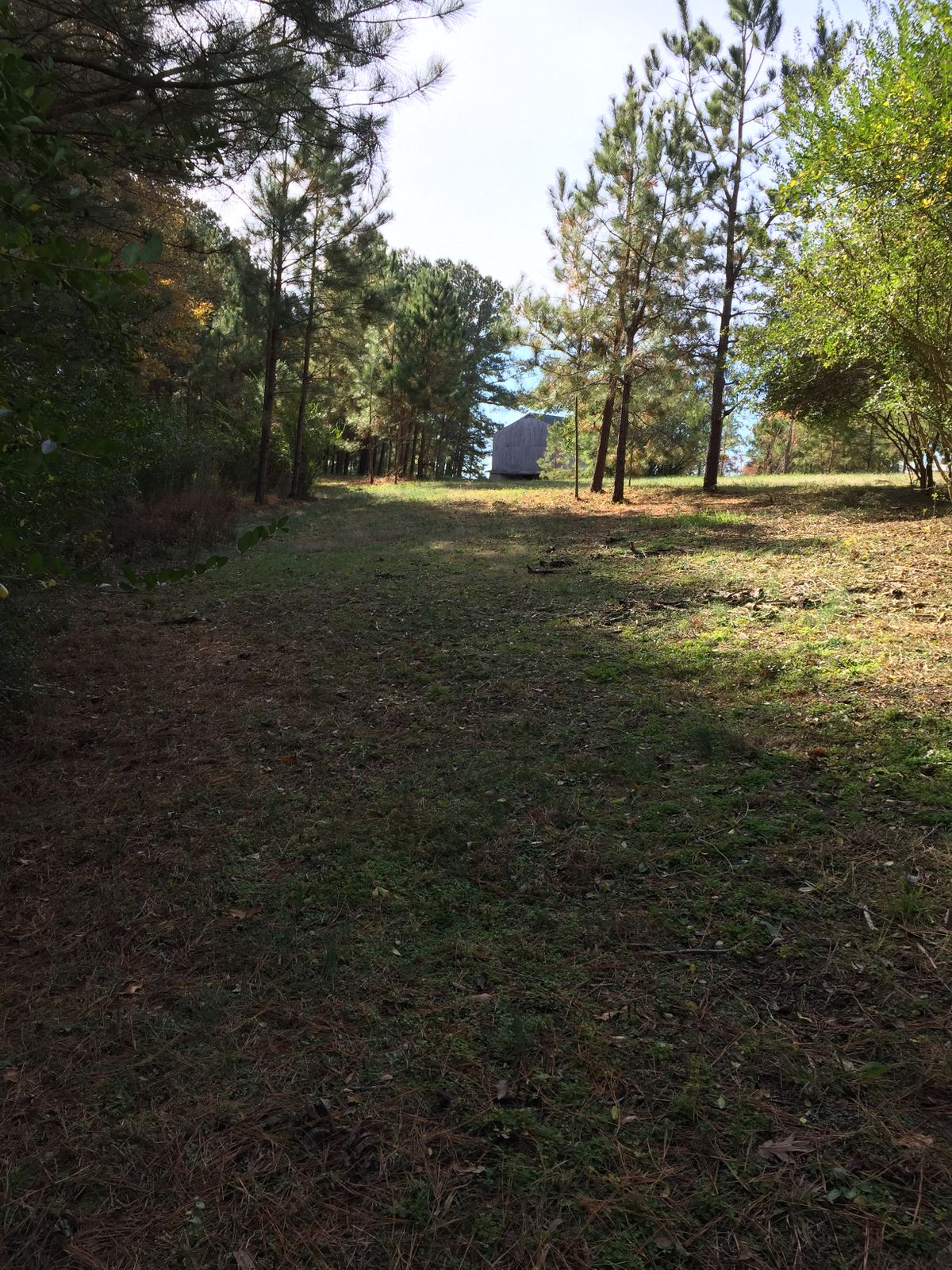 Hole #16 Left Early Fairway
