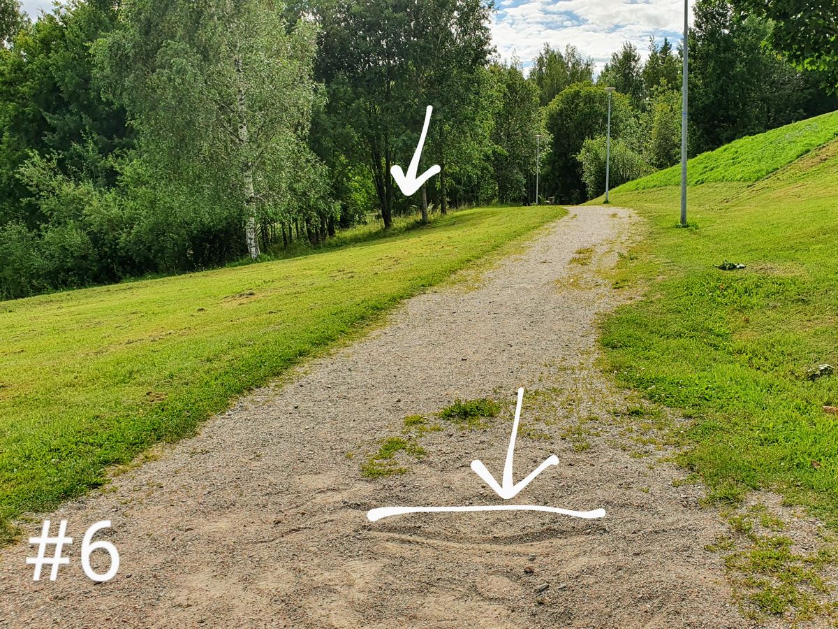 No mark for this tee area, just the signs on the ground from previous players.