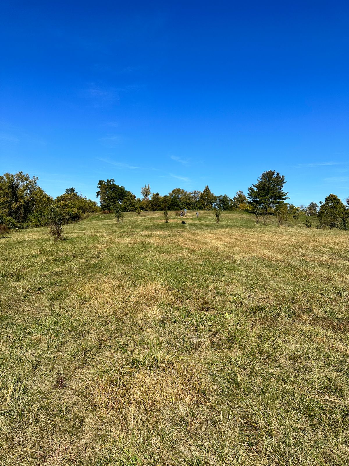 Hole 2 tee