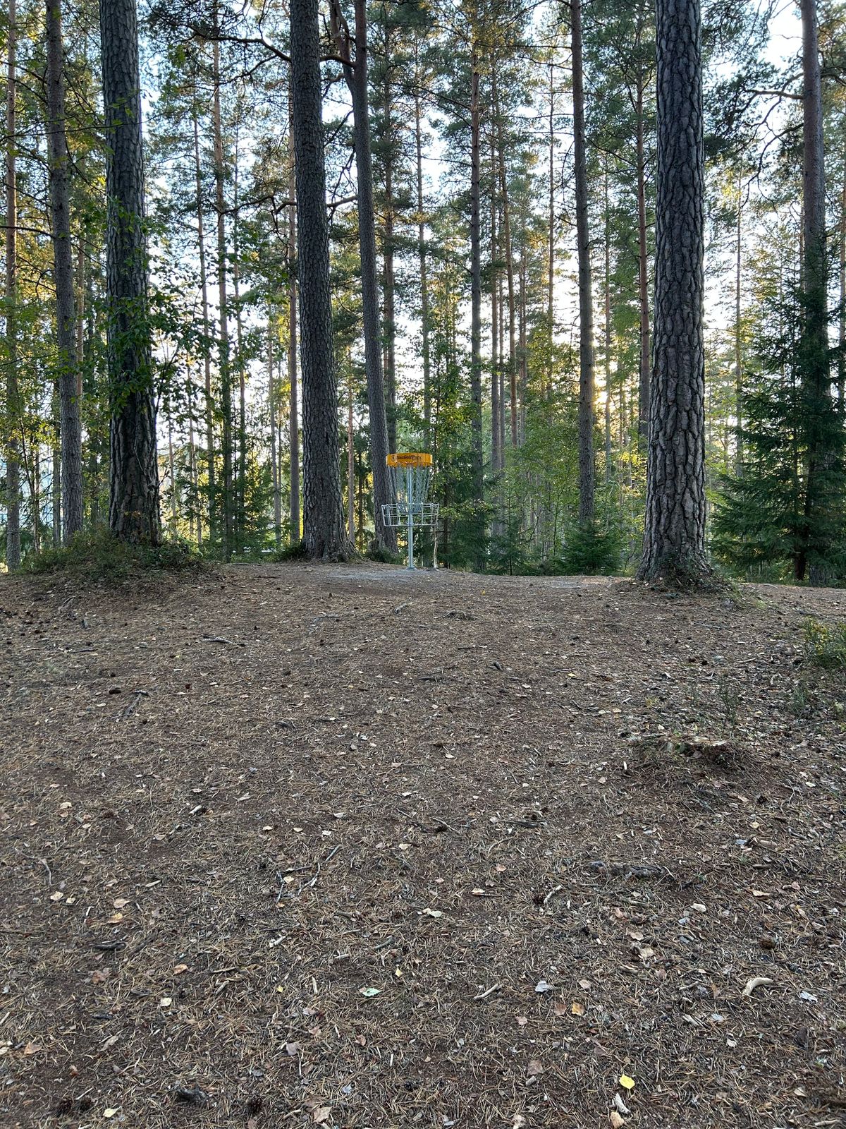 Fairway 1