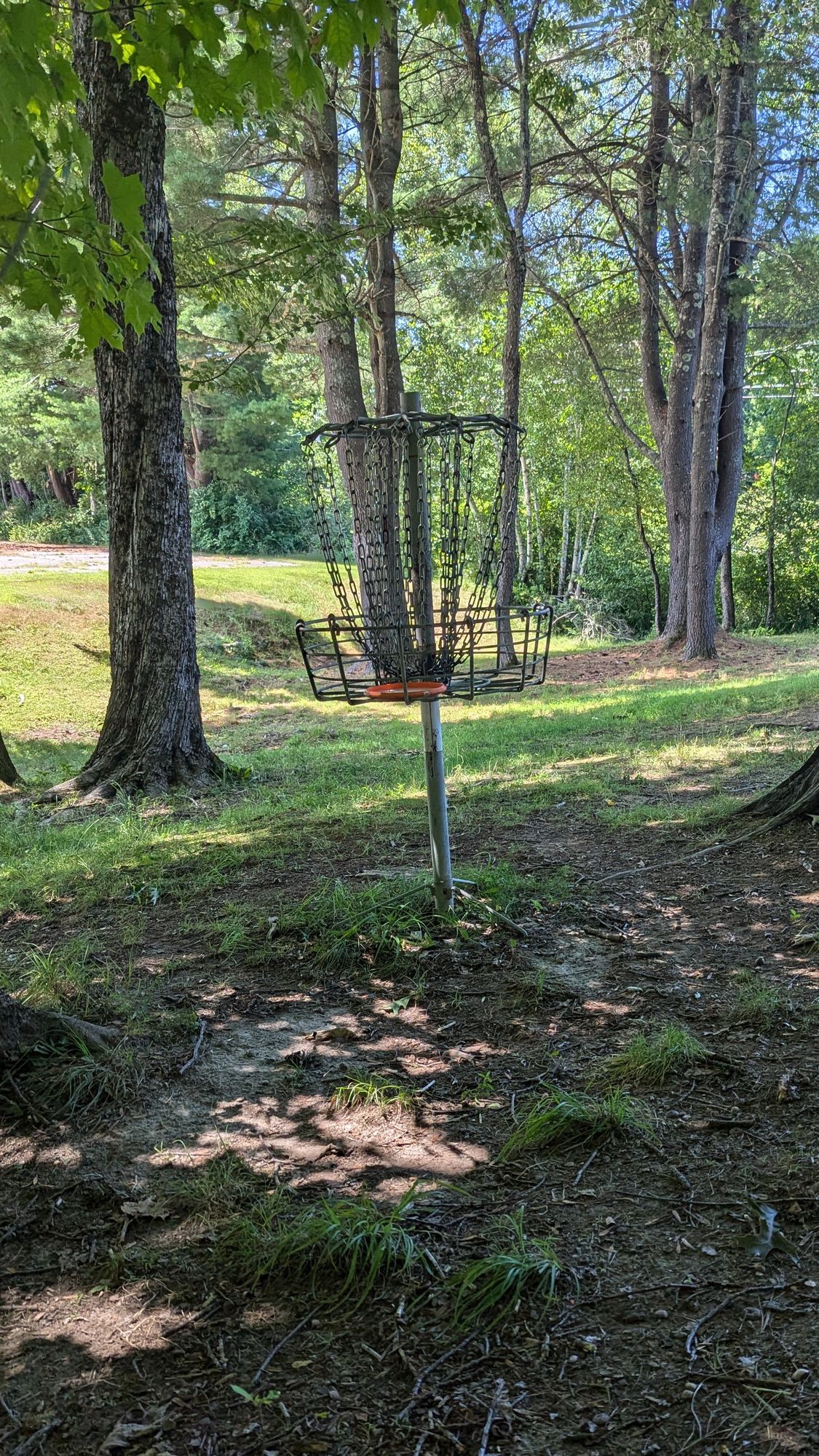 Modified Hole 1's basket