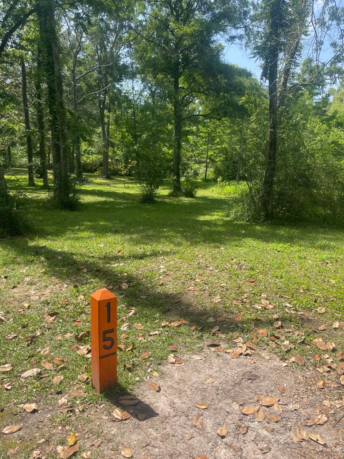 Hole 15