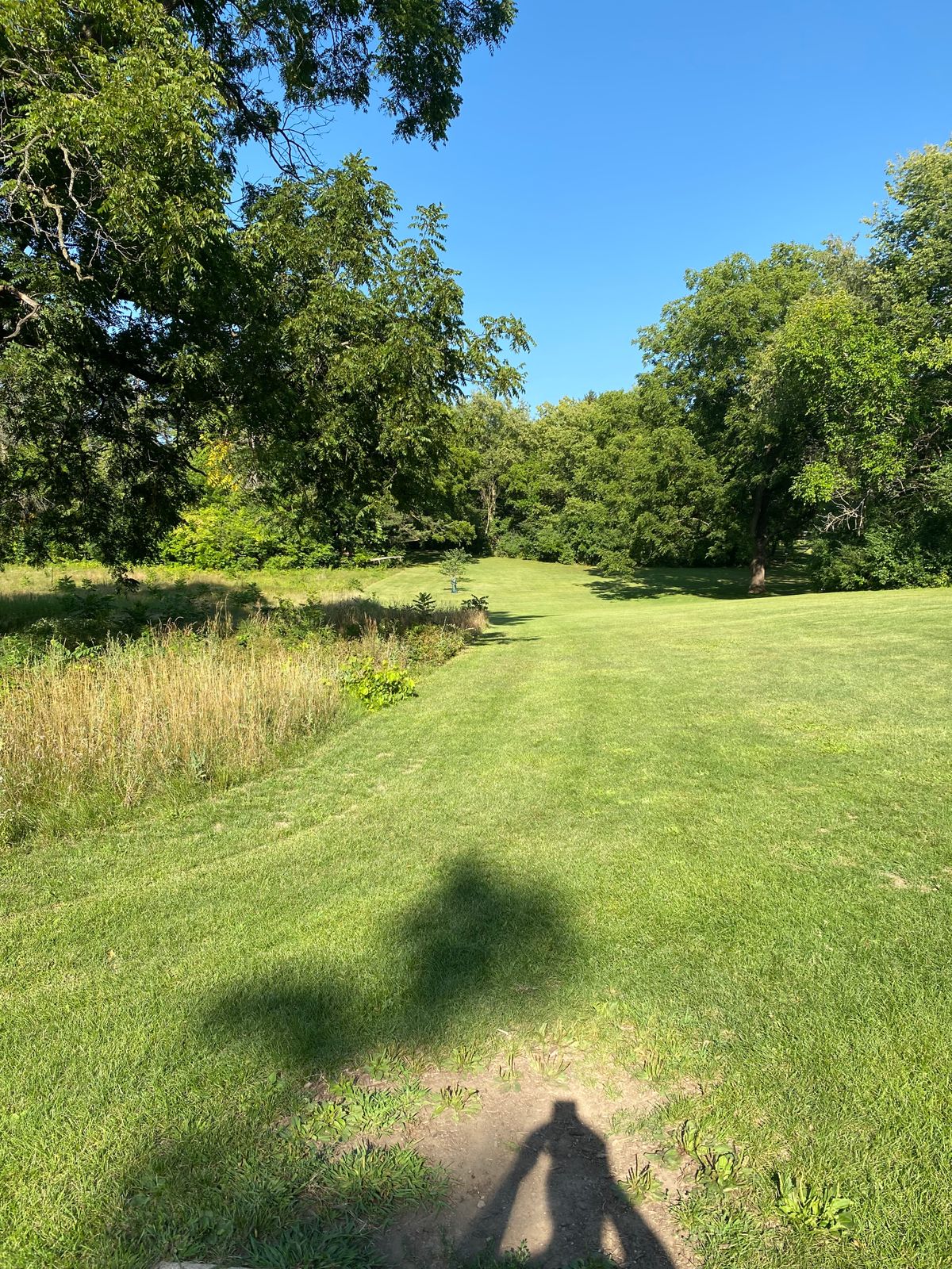 Hole 7 from the tee pad.