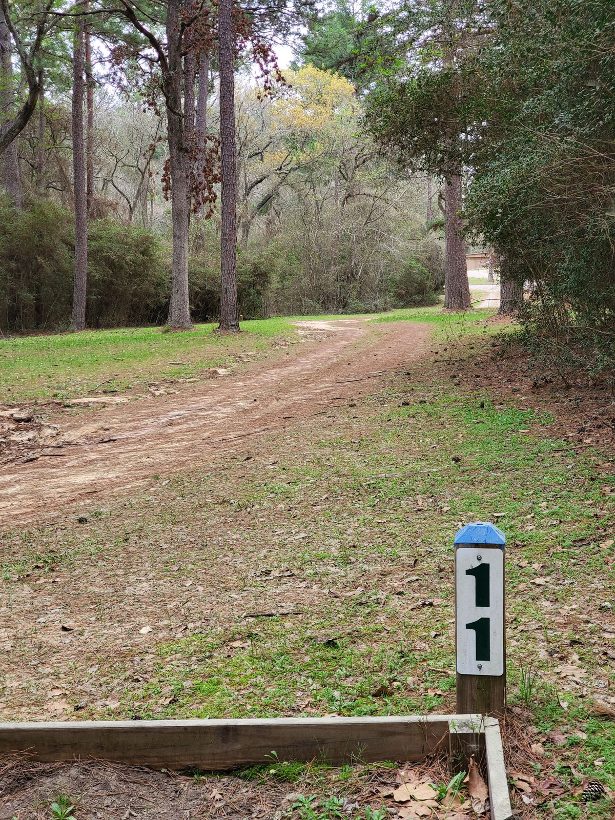 Hole 11 blue tee