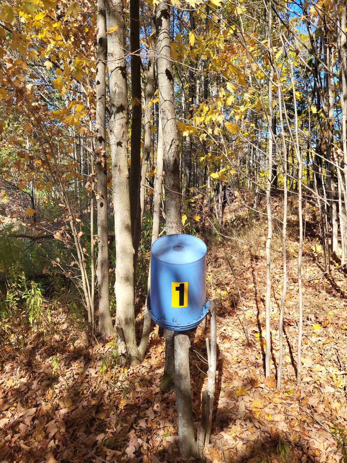Hole 1 target