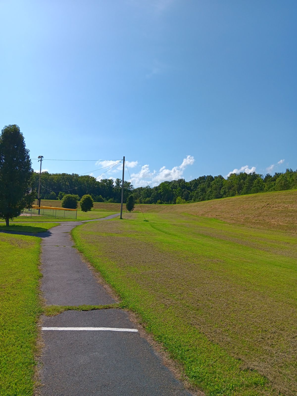 Hole 5 Tee