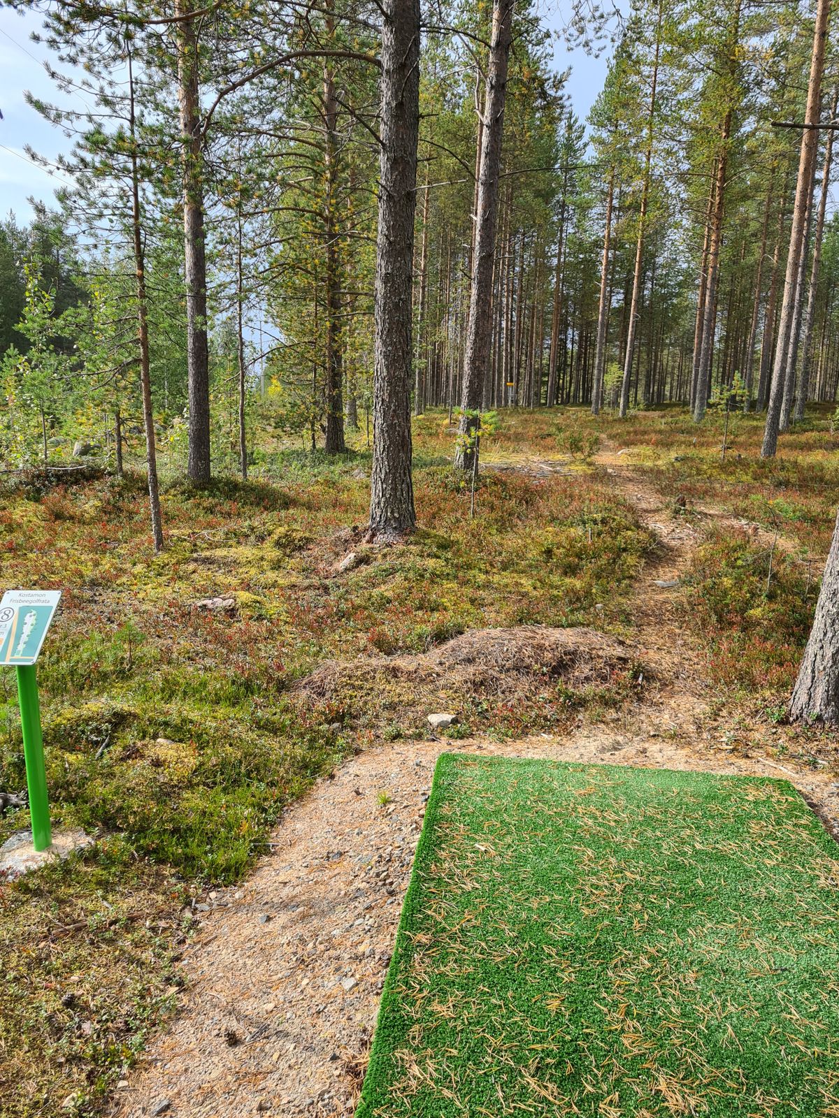 Väylä 8