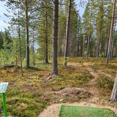 Väylä 8