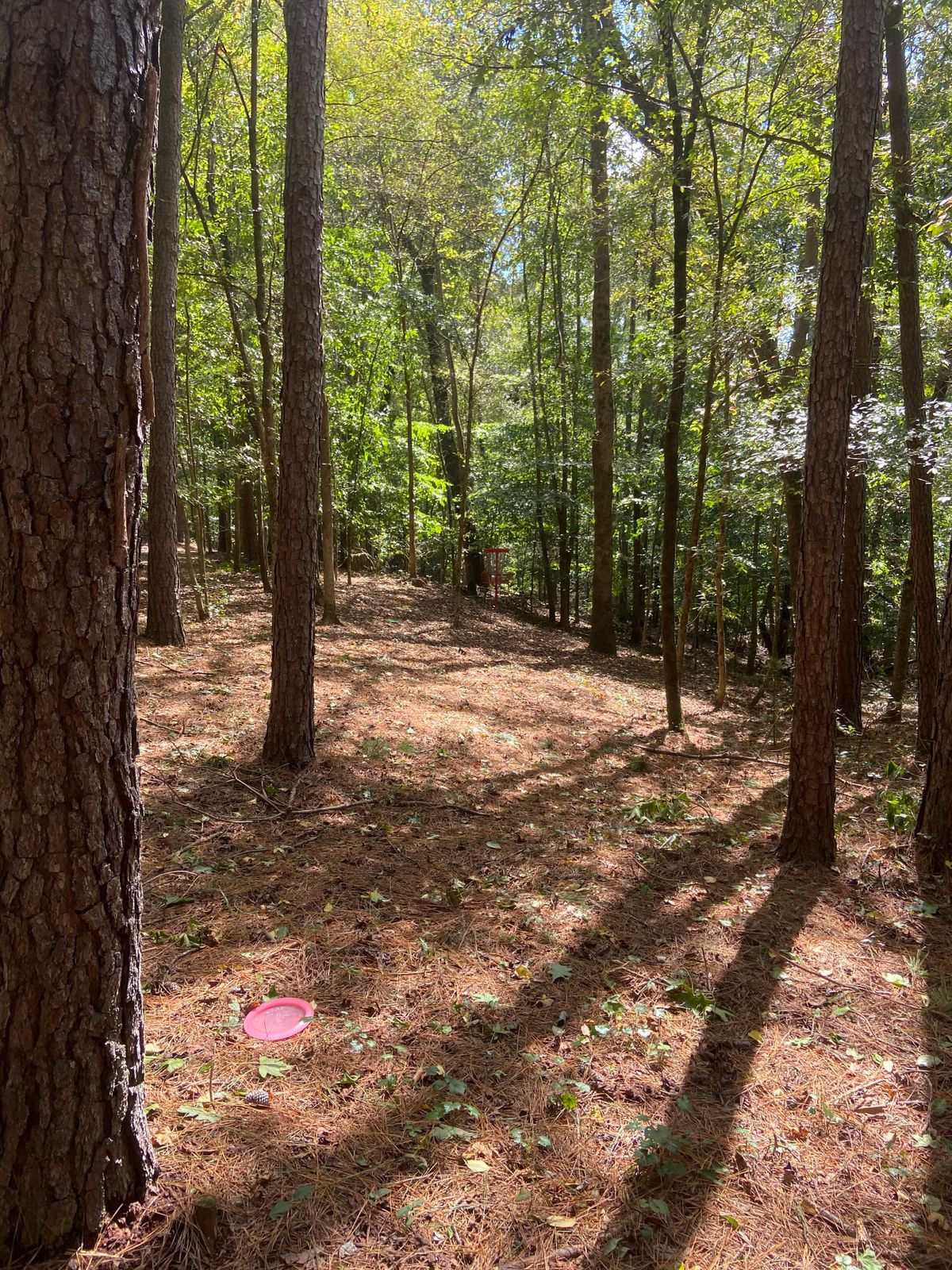 Green of Hole 2