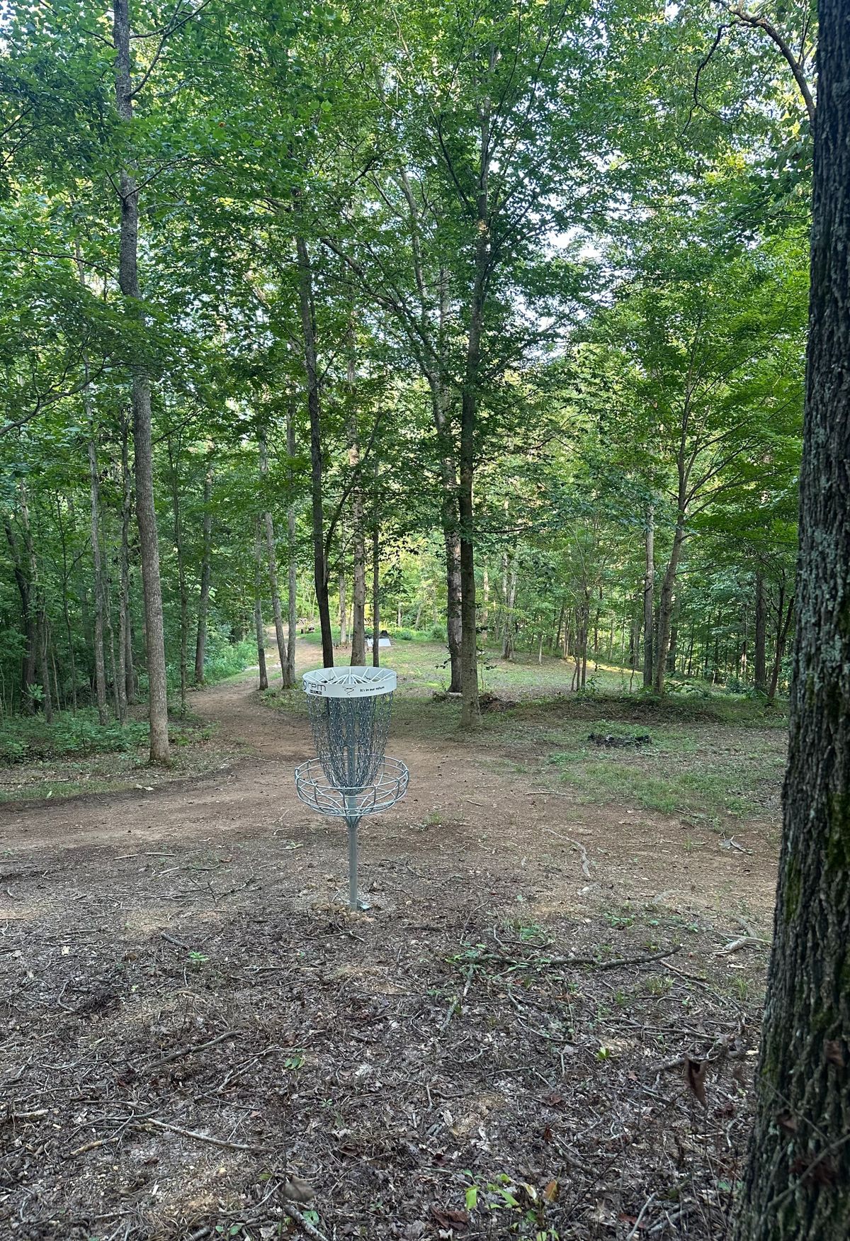 Hole 5 Basket