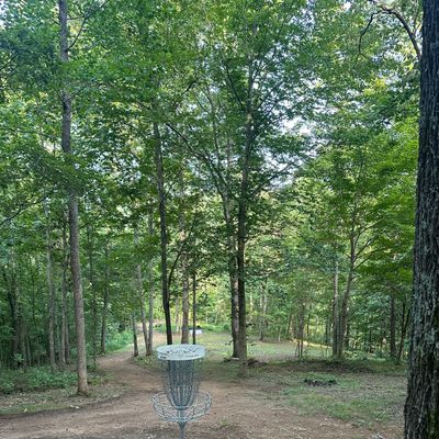 Hole 5 Basket