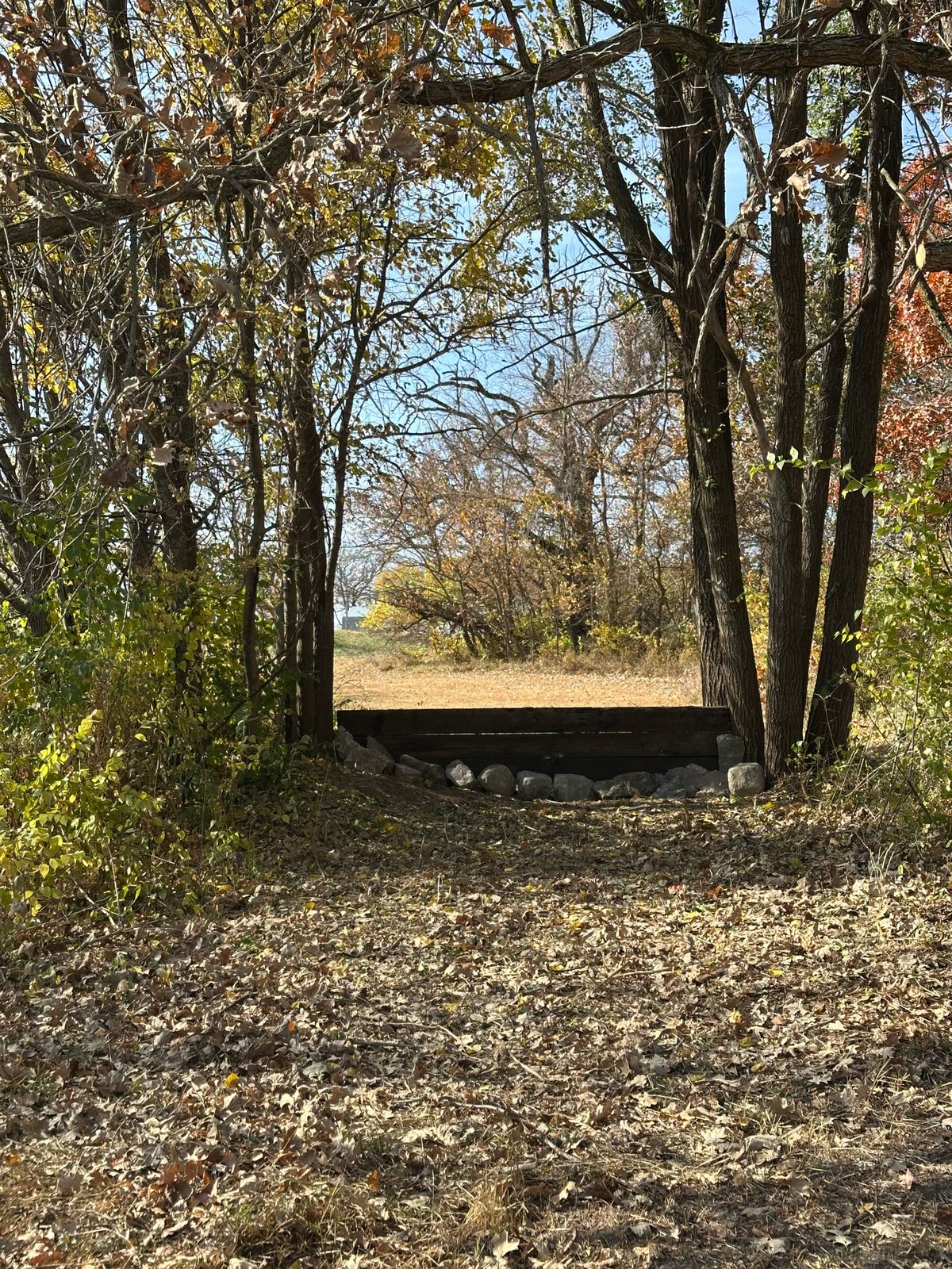 Hole 5. Dogleg left. Mando to right of windmill