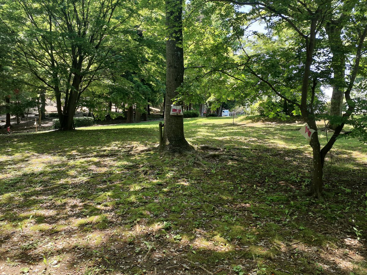 Hole 5 par 3 46m