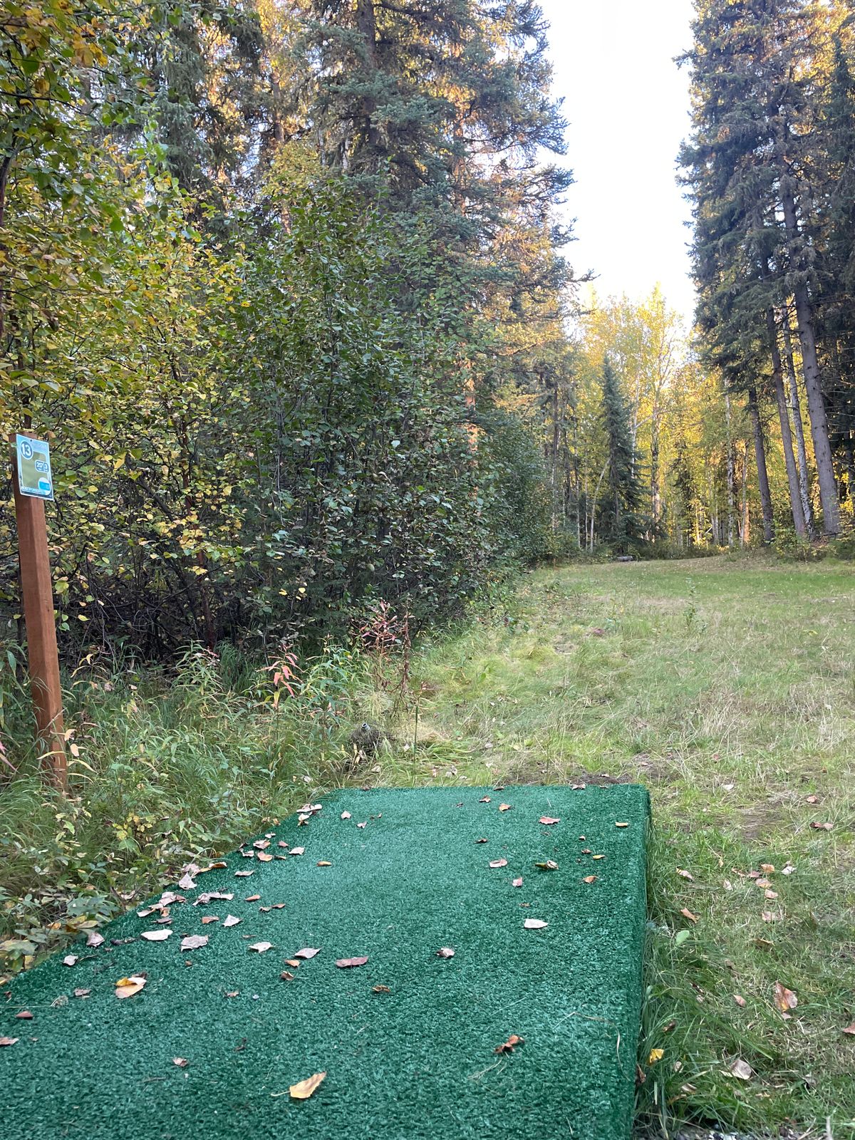 Hole 13 Tee Pad