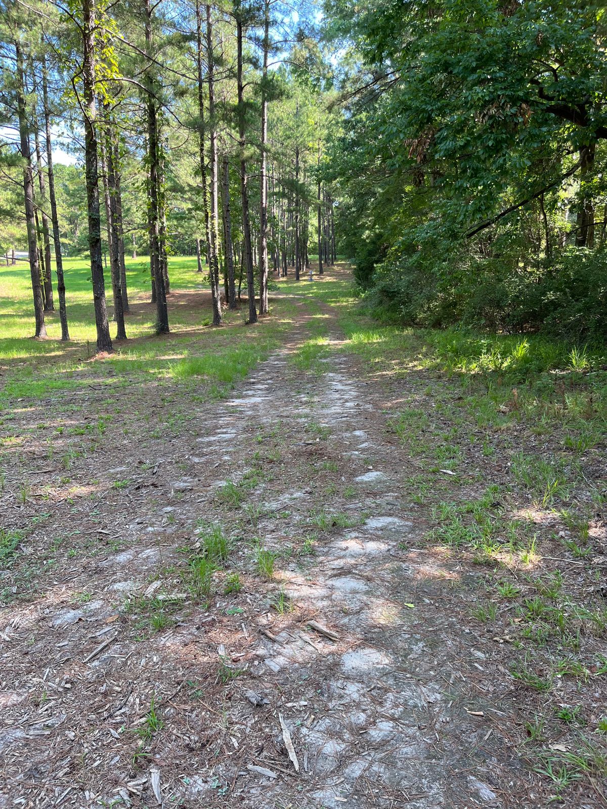 Hole 6 basket