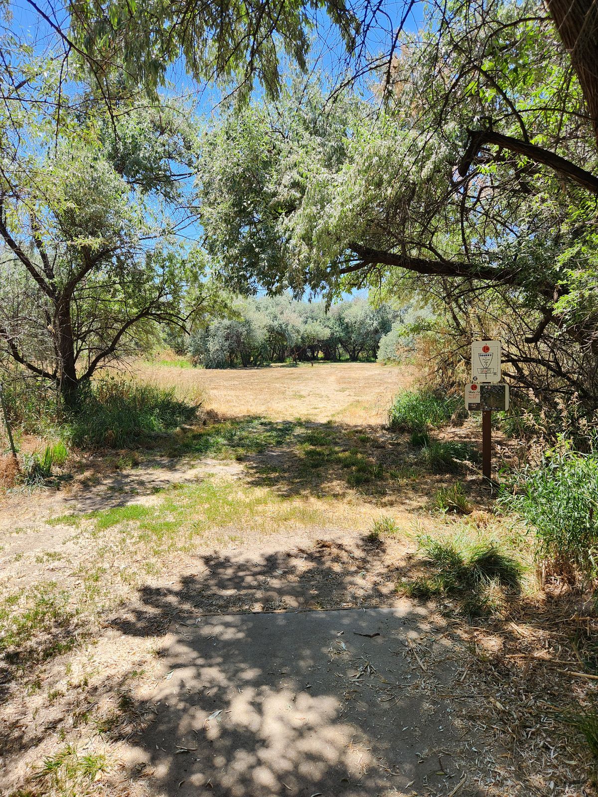 Tee Pad #16