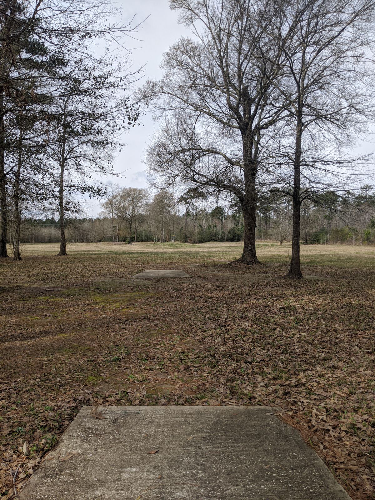 Hole 5 Long Tee