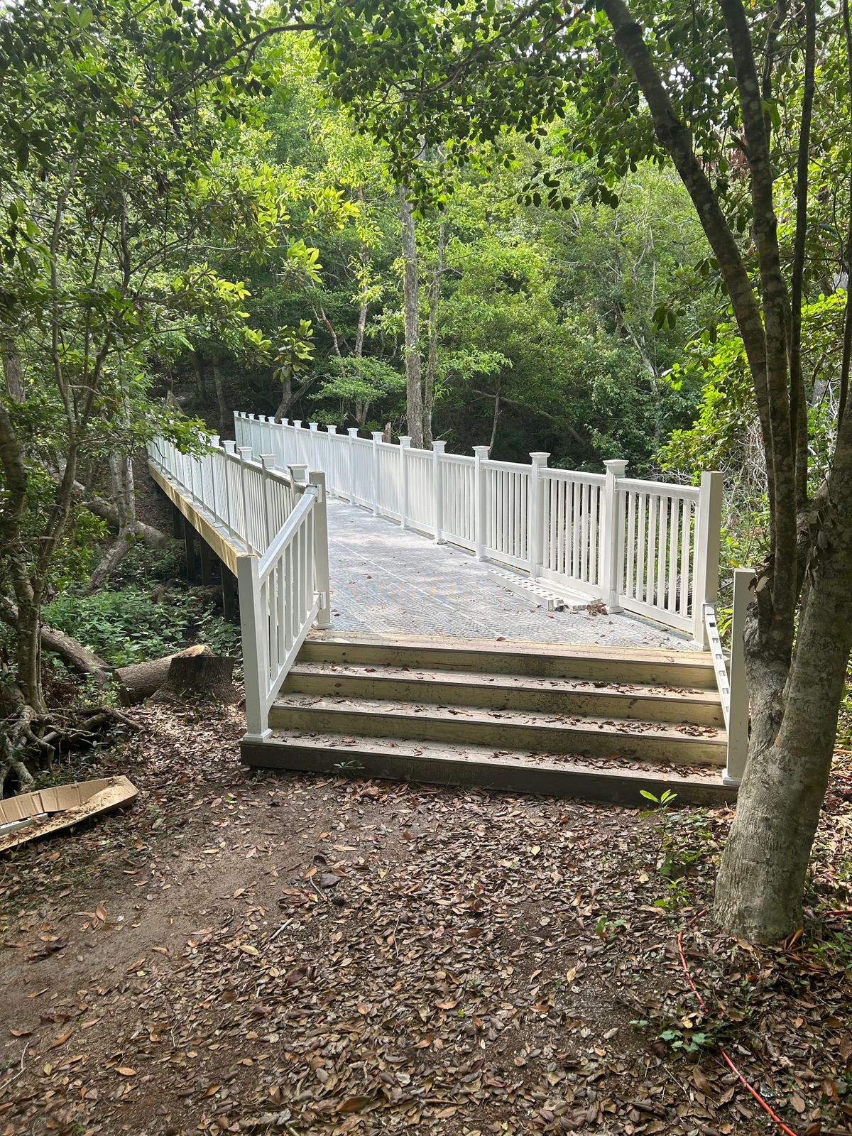New bridge on path from 7 to 8