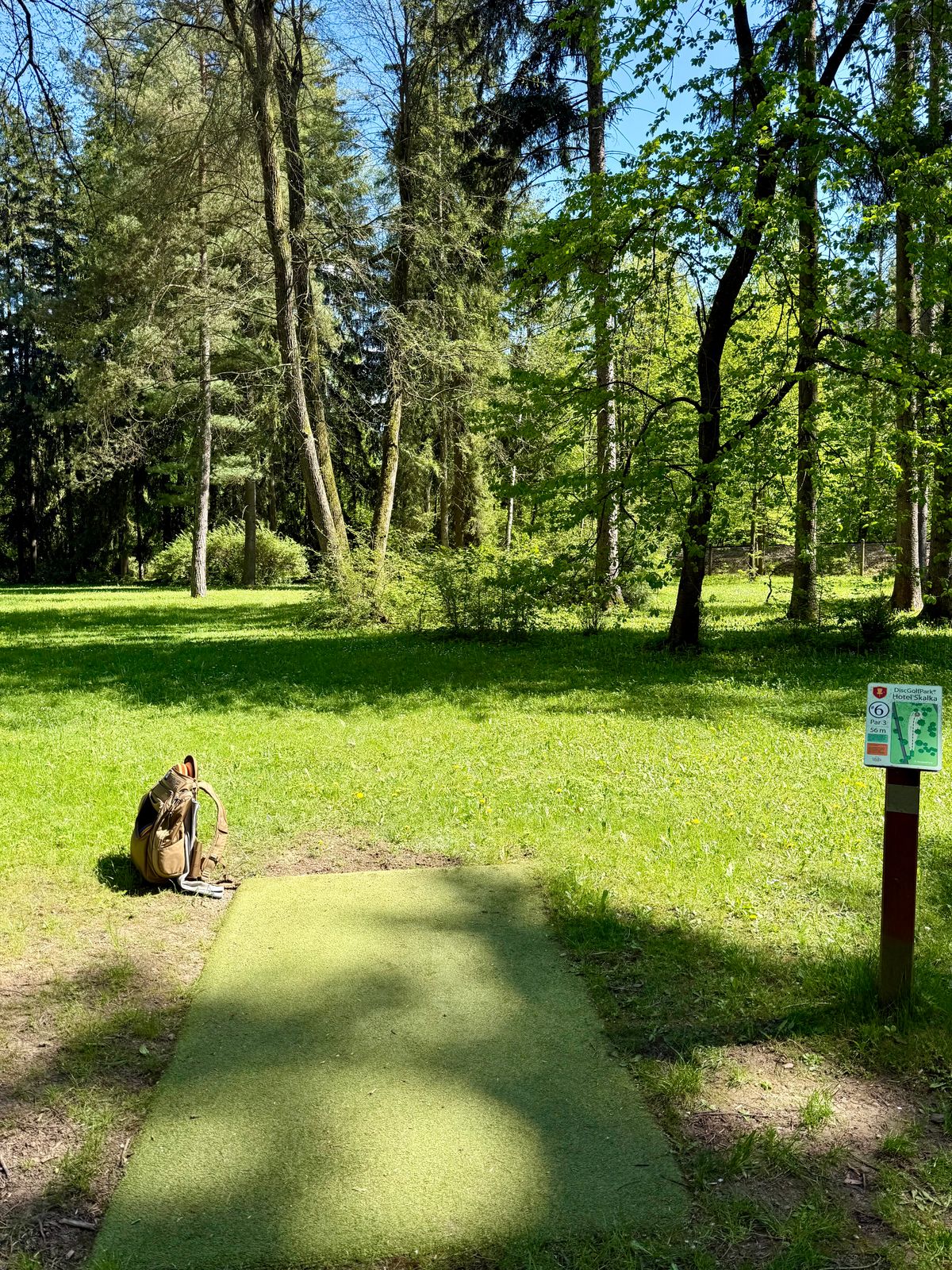 Hole 6