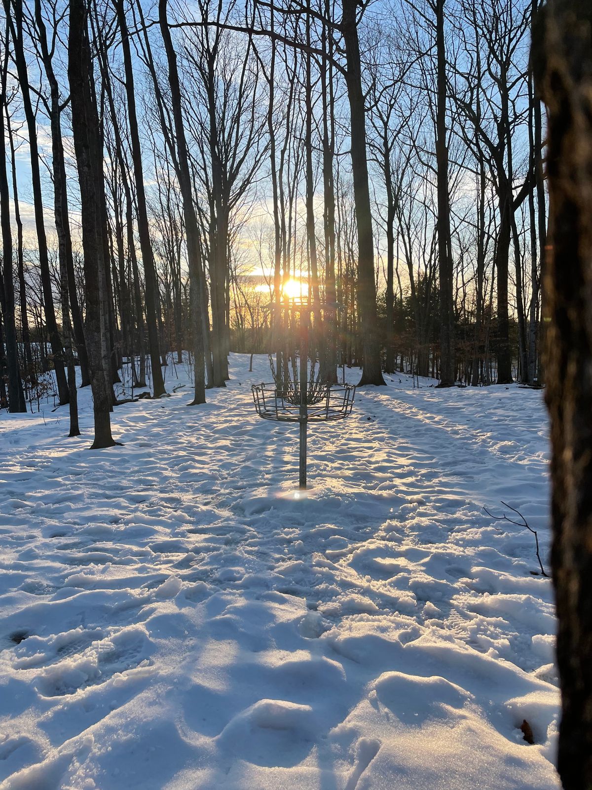 February 11th, sunny, compact  and playable