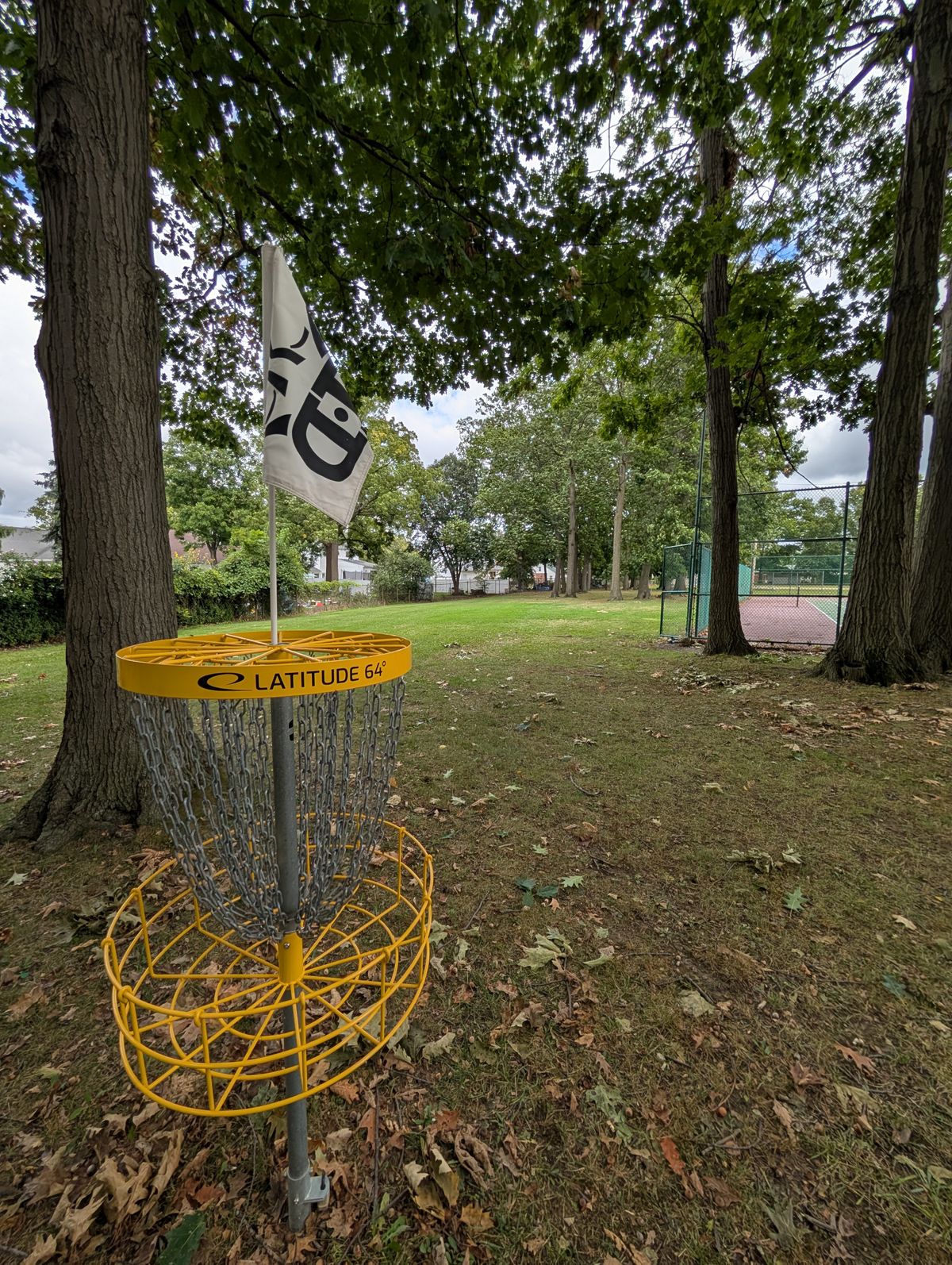 #3 basket back towards tee