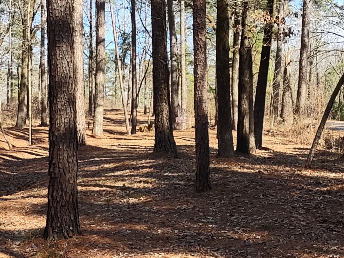 #3 Fairway