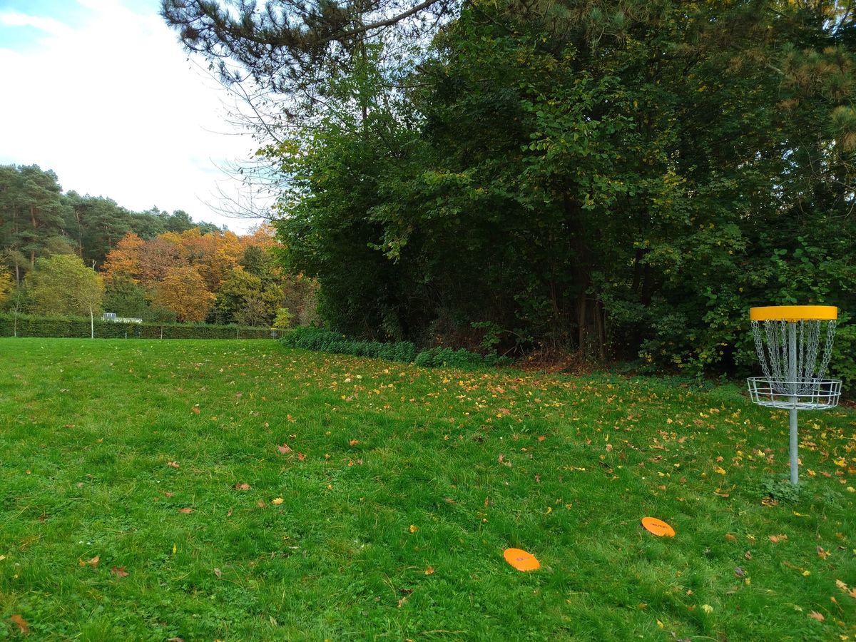 Tee Main + Six Hole 13