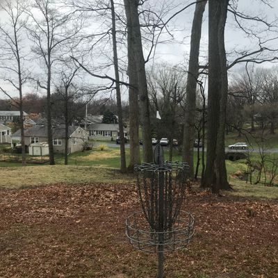 Basket on Hole #19 with Basket on Hole #3 in the background.
