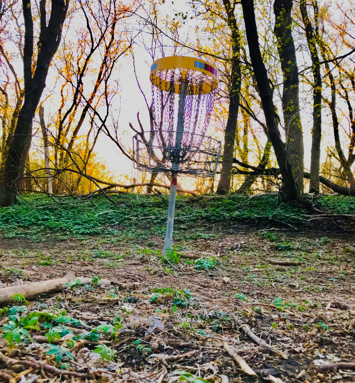 Sunset on hole 5