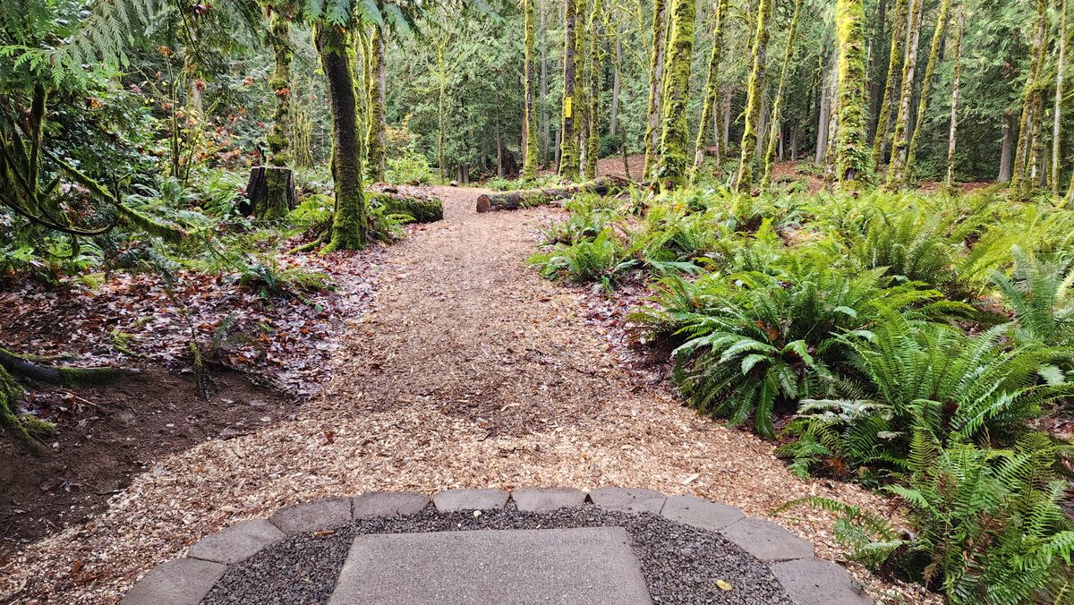 Newly restored hole one Red tee and fairway, by the NAD Restoration Project volunteers. 11/24