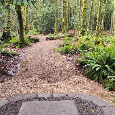 Newly restored hole one Red tee and fairway, by the NAD Restoration Project volunteers. 11/24