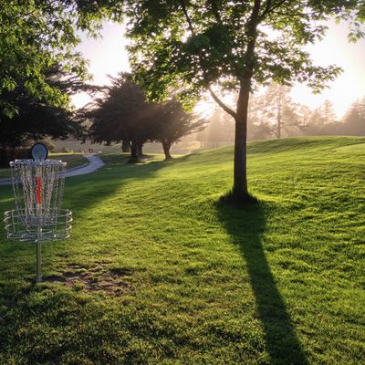 Hole 8’s Target looking back down the fairway.
