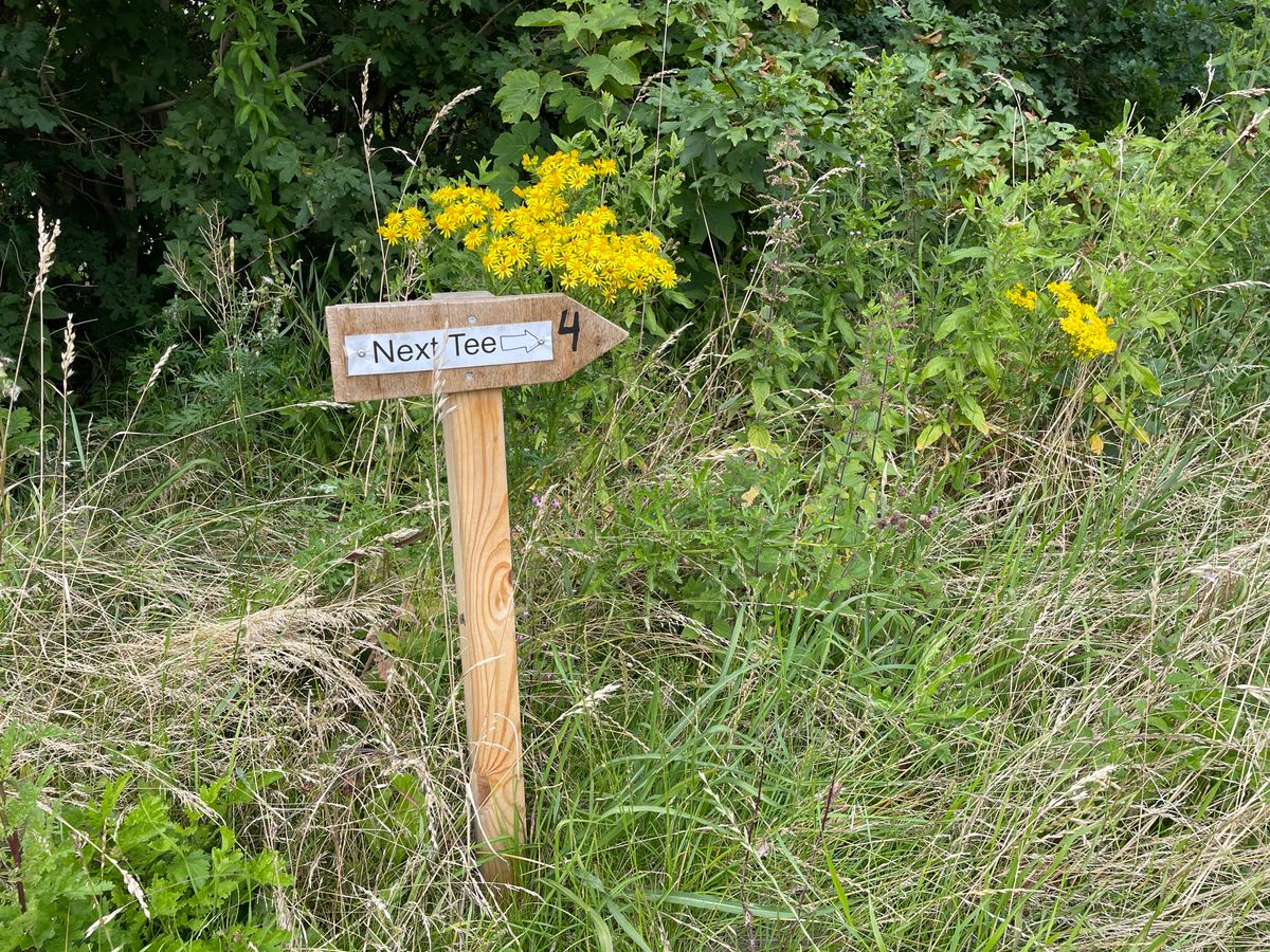 Next tee signs made it possible to navigate without the UDisc map