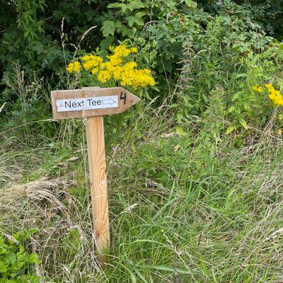 Next tee signs made it possible to navigate without the UDisc map